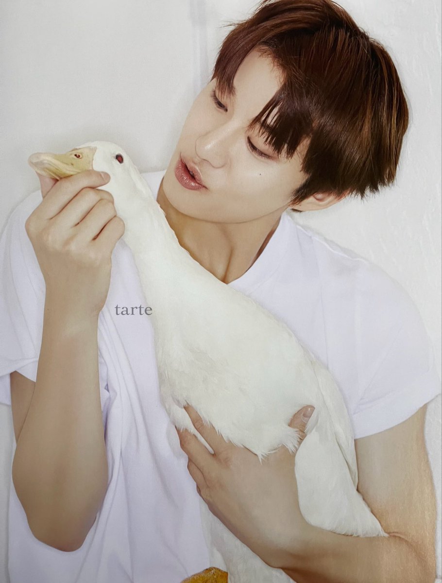 뭔가 어떤… 기시감..