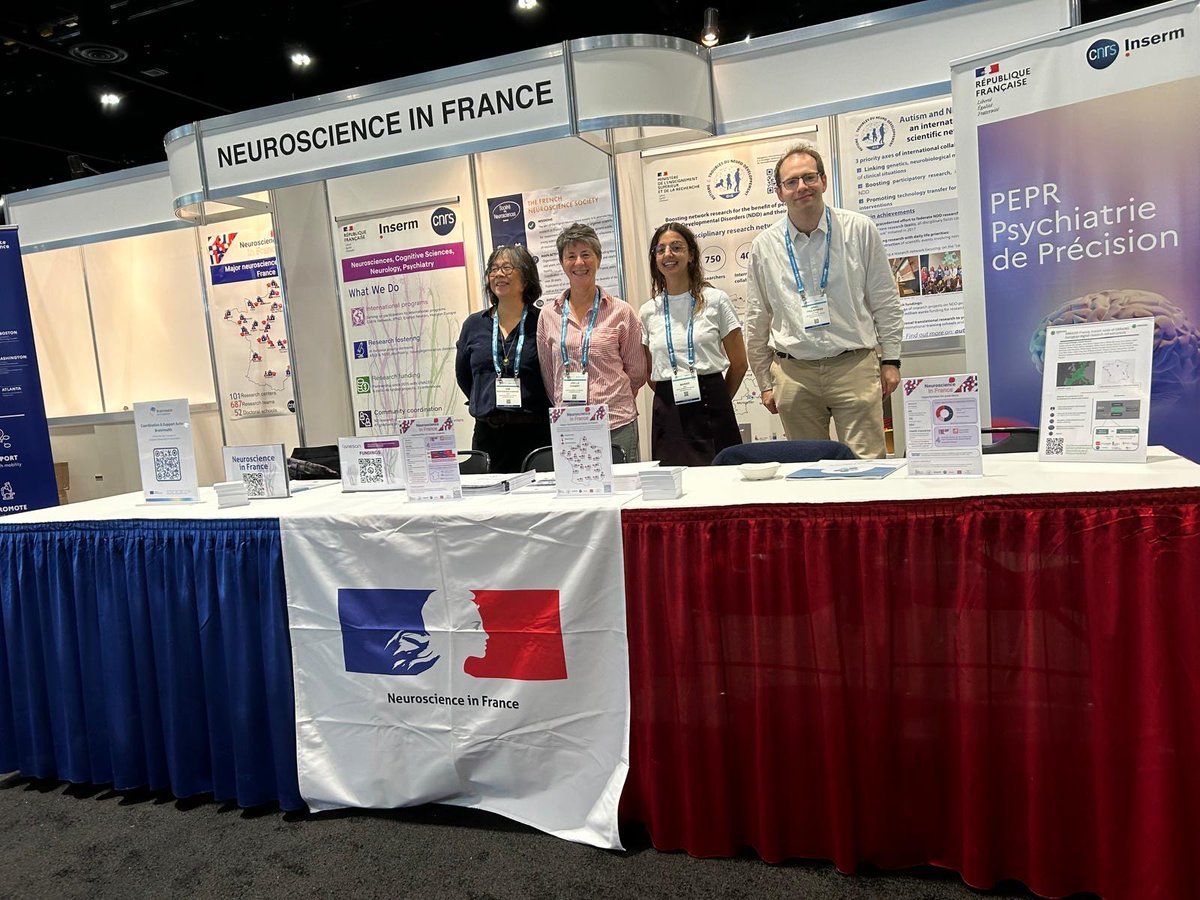 IT__neuro's tweet image. @IT__neuro is at #SfN24! Don't forget to visit us at the booth 1832 if you'd like to find out more about #neuroscience in France!