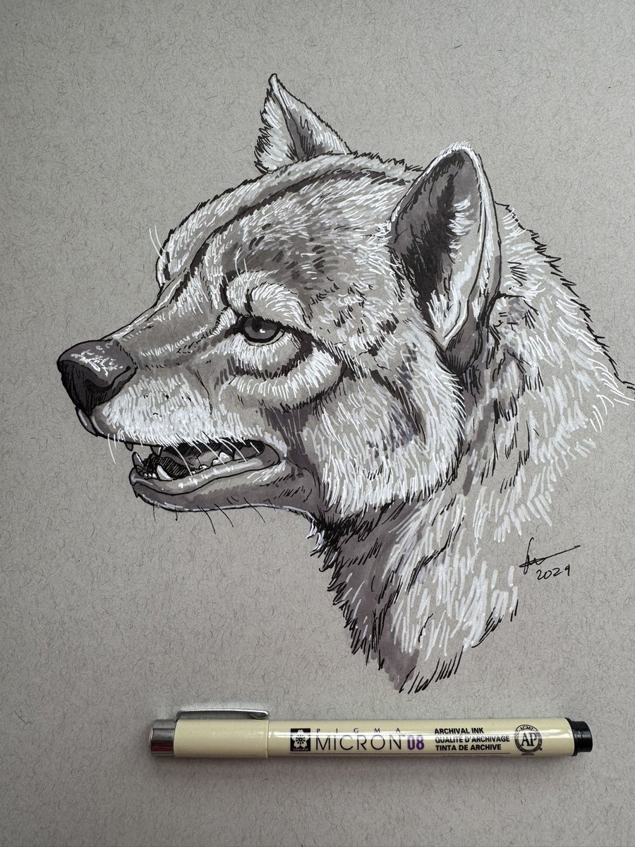 Day 7 Portrait of the hyaena dog Borophagus