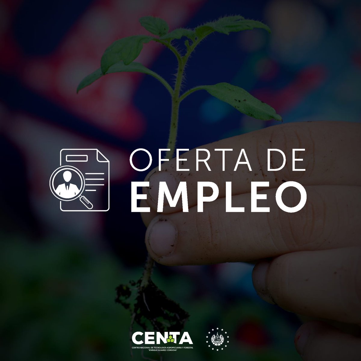 ✍️Si cumples con los requisitos y estás interesado, te invitamos a participar en nuestro proceso de selección.

Puedes ver todos los detalles en el siguiente enlace 
👉centa.gob.sv/oferta-de-empl…