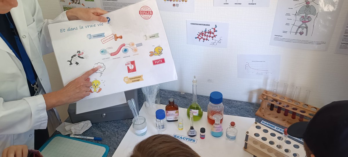 DSDEN Deux-Sèvres tweet media