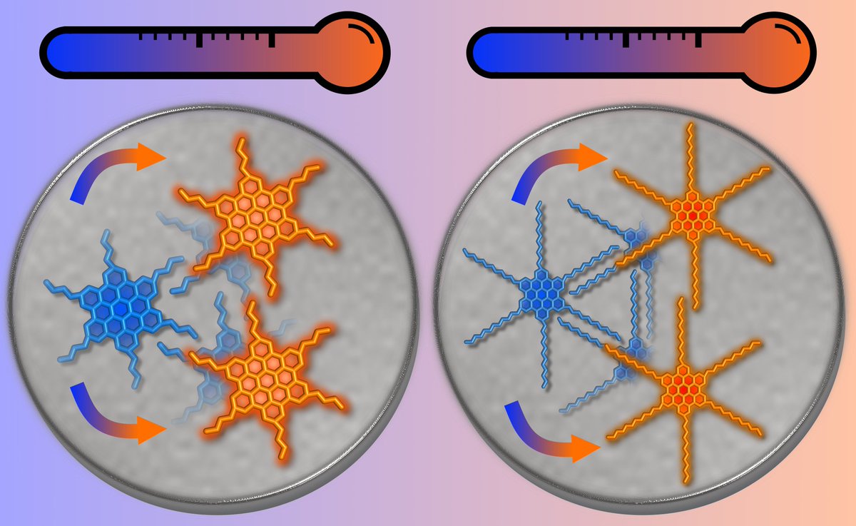 NanolinoBasel (@nanolinobasel) on Twitter photo In our recent work, we showed that the thermoresponse of 2D supramolecular assemblies can be controlled via the length variation of alkyl chains involved in intermolecular interactions. doi.org/10.1002/smll.2… <a href="/SebScherb/">Sebastian Scherb</a> <a href="/AntoineHinaut/">Antoine Hinaut</a> @PawlakRemy <a href="/ErnstMeyer4132/">Ernst Meyer</a> <a href="/Yiming_SONG_/">Yiming Song</a> In our recent work, we showed that the thermoresponse of 2D supramolecular assemblies can be controlled via the length variation of alkyl chains involved in intermolecular interactions. doi.org/10.1002/smll.2… <a href="/SebScherb/">Sebastian Scherb</a> <a href="/AntoineHinaut/">Antoine Hinaut</a> @PawlakRemy <a href="/ErnstMeyer4132/">Ernst Meyer</a> <a href="/Yiming_SONG_/">Yiming Song</a>