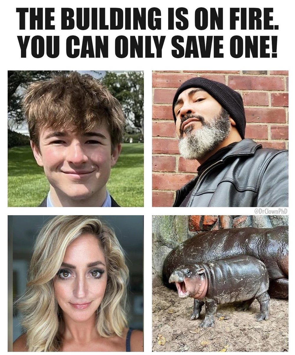 TaraBull tweet media