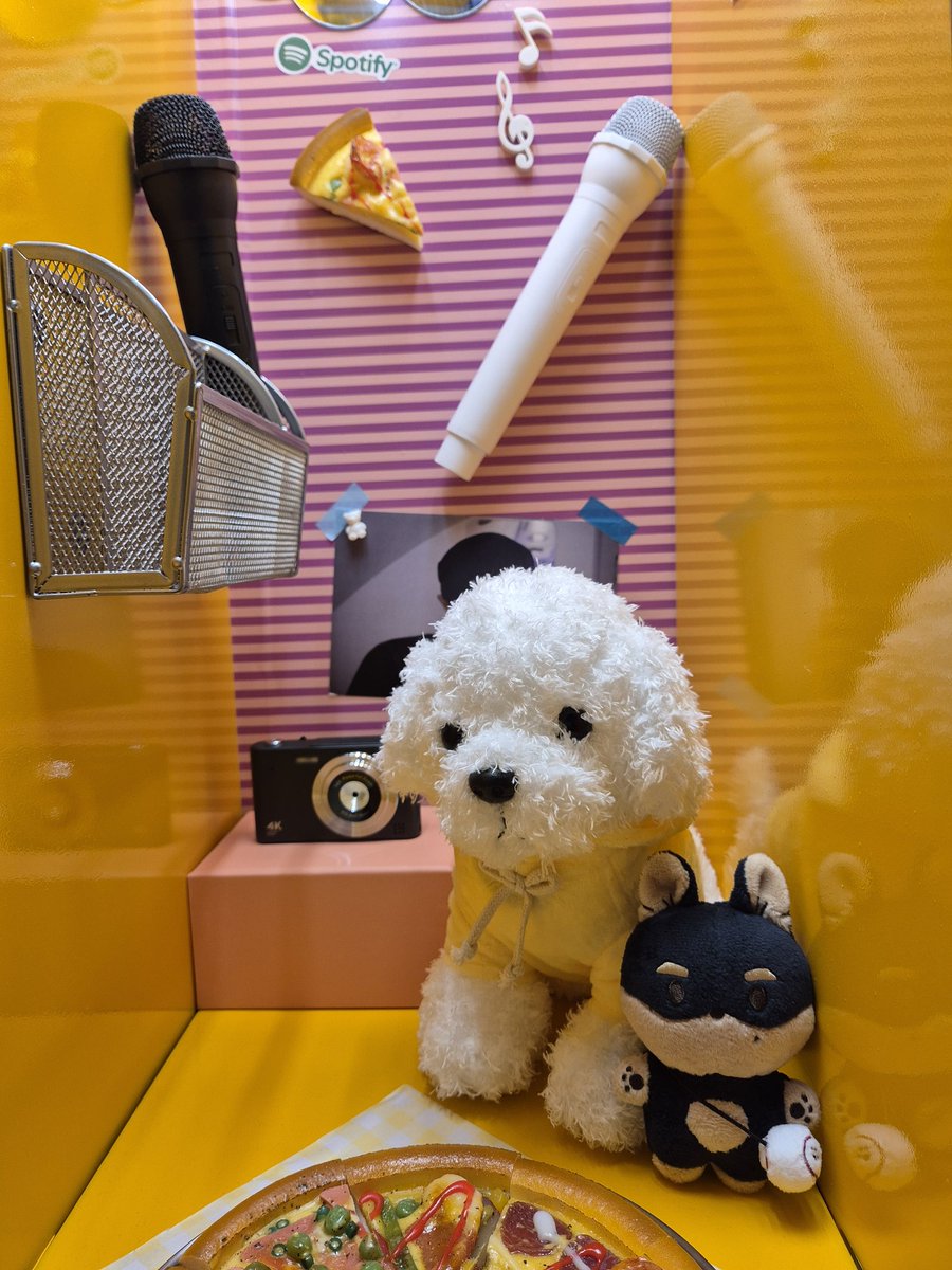 kyeomber_Do's tweet photo. 캐럿 스테이션 다녀왔어요🐶💎

@SpotifyKR #spotify #SEVENTEEN 
#SpotifyCARATStation https://t.co/EpTjiv1AEW