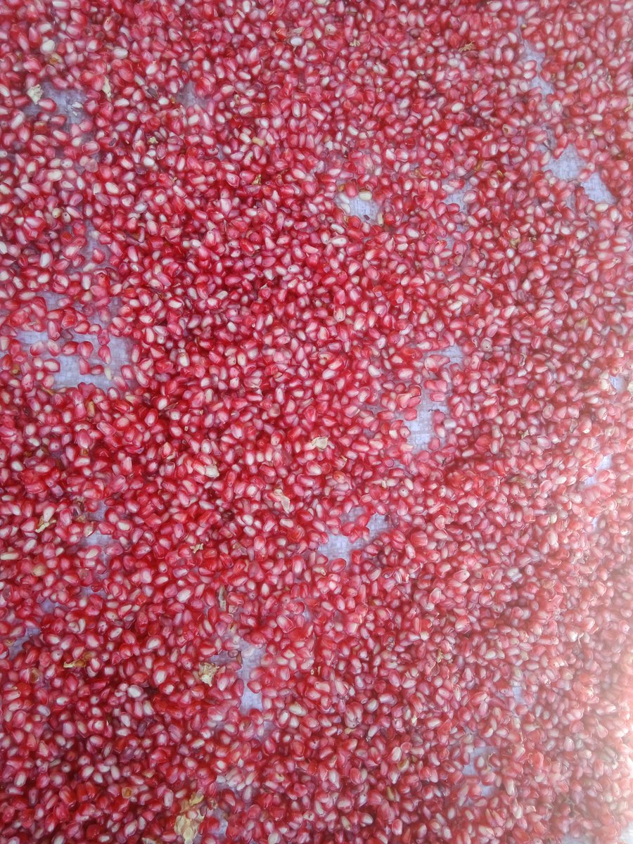 Organic Anardana