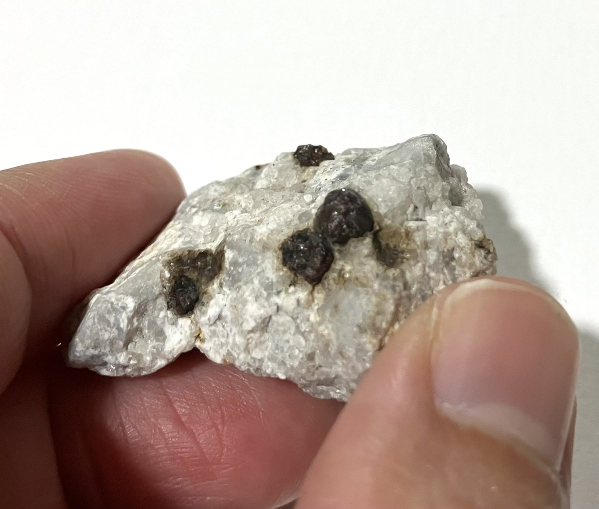 思い出の石 彩洗い出し3分石 - 標準色 | TECTURE（テクチャー）