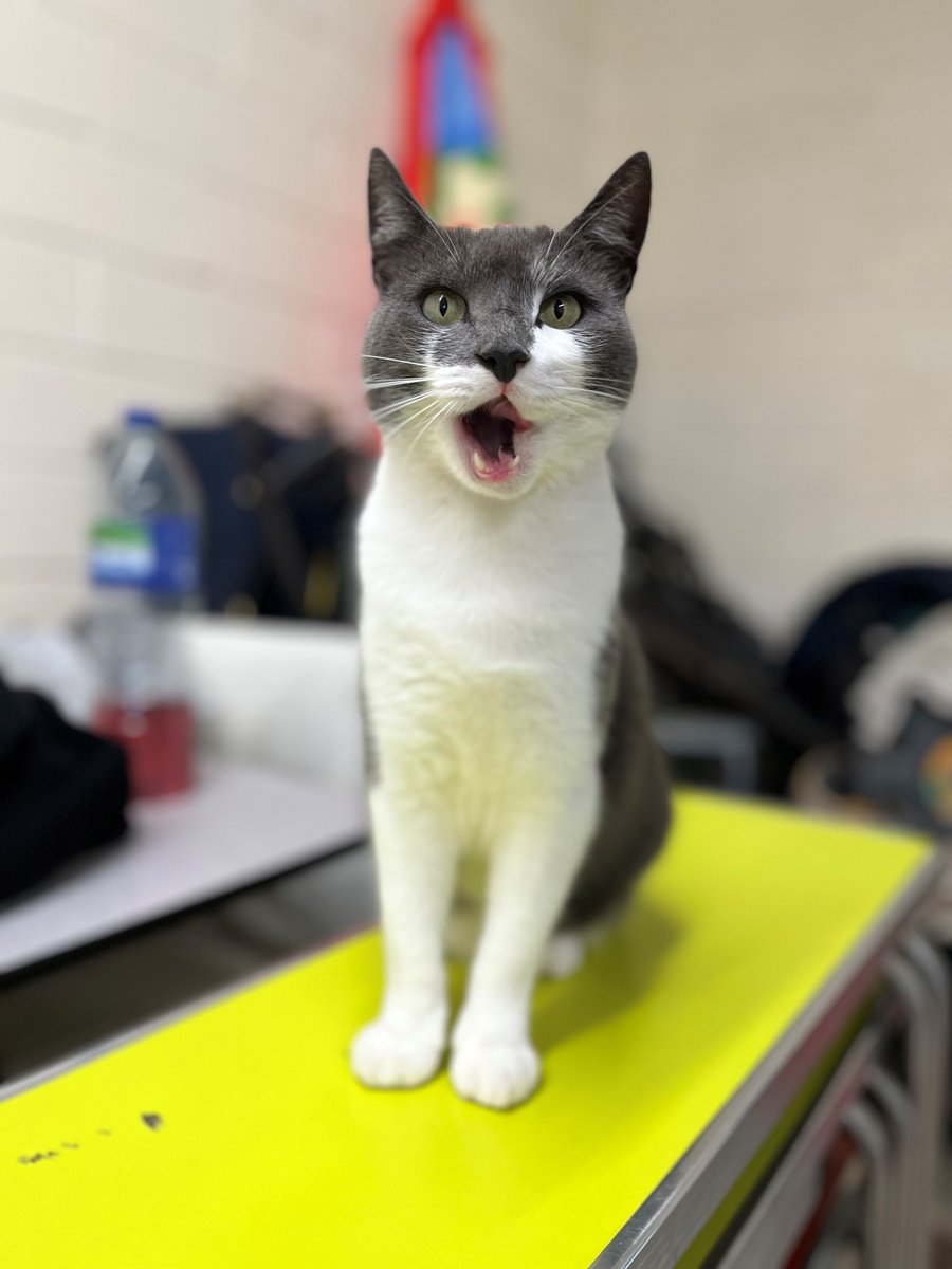 National Coal Mining Museum tweet media