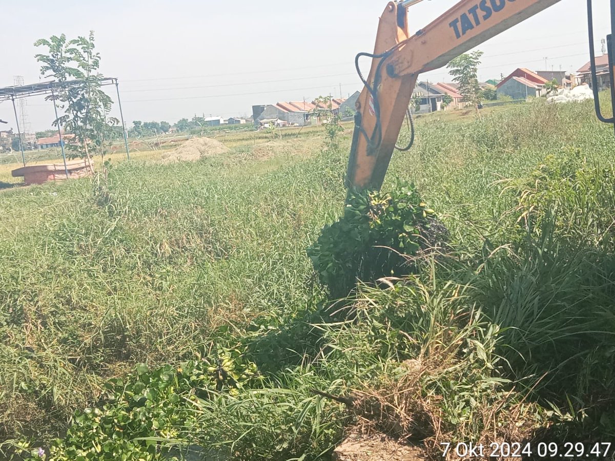 Pada hari Senin 7 Oktober 2024 bidang SDA DPUPR Kota Pekalongan melaksanakan pemeliharaan rutin membersihkan Enceng gondok di kalibremi perumahan graha Naya Buaran.