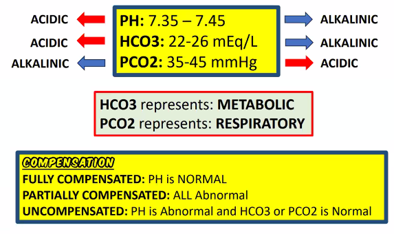 Nursing Notes

#PNLE