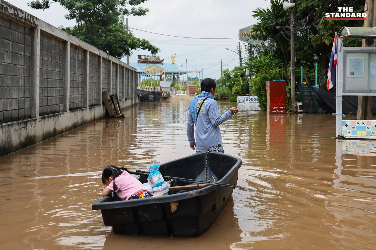 THE STANDARD tweet media