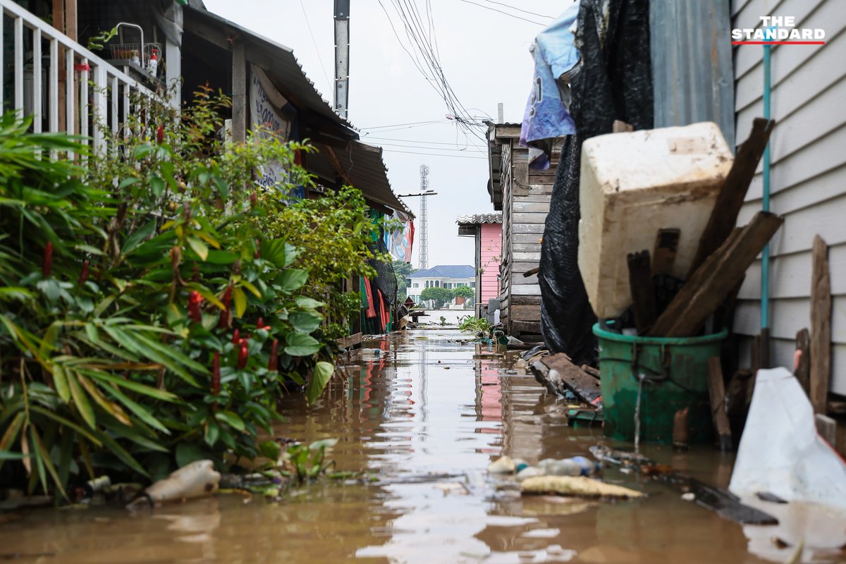 THE STANDARD tweet media