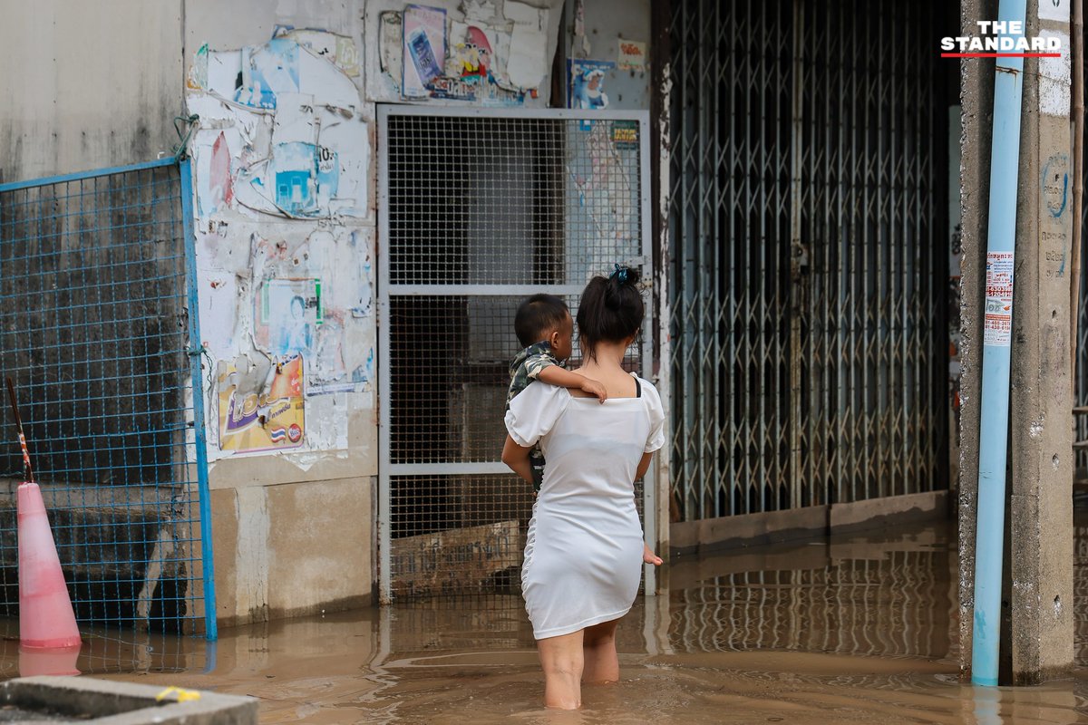 THE STANDARD tweet media