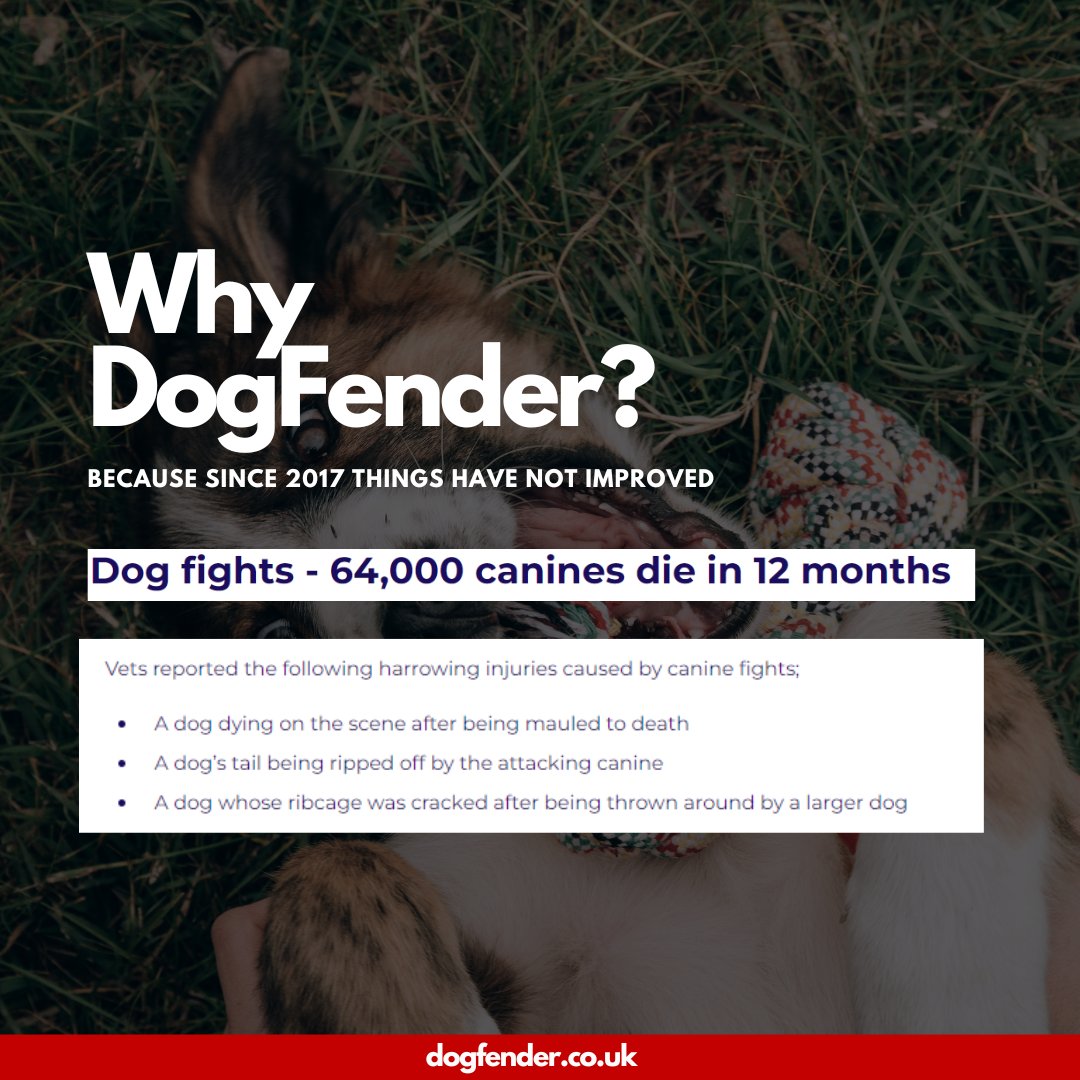 Since 2016 dog-on-dog fights have led to thousands of injuries &amp; fatalities across the UK. Research shows that in just 12 months, over 64,000 dogs passed from injuries after being attacked &amp; another 44,000 suffered life-changing injuries 💔 Via DirectLine: bit.ly/3ZGIqql