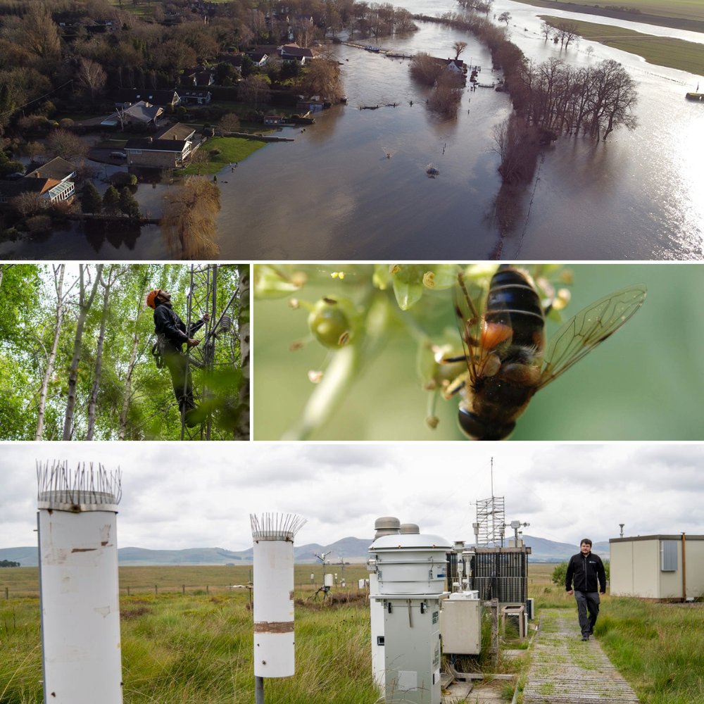 In a time of rapid environmental change, long-term monitoring &amp; accessible data are key. 

The new <a href="/NERCscience/">Natural Environment Research Council</a>-funded National Capability for UK Challenges programme will help the UK understand and address challenges to air, land &amp; water. 

Read more: ceh.ac.uk/news-and-media… 1/