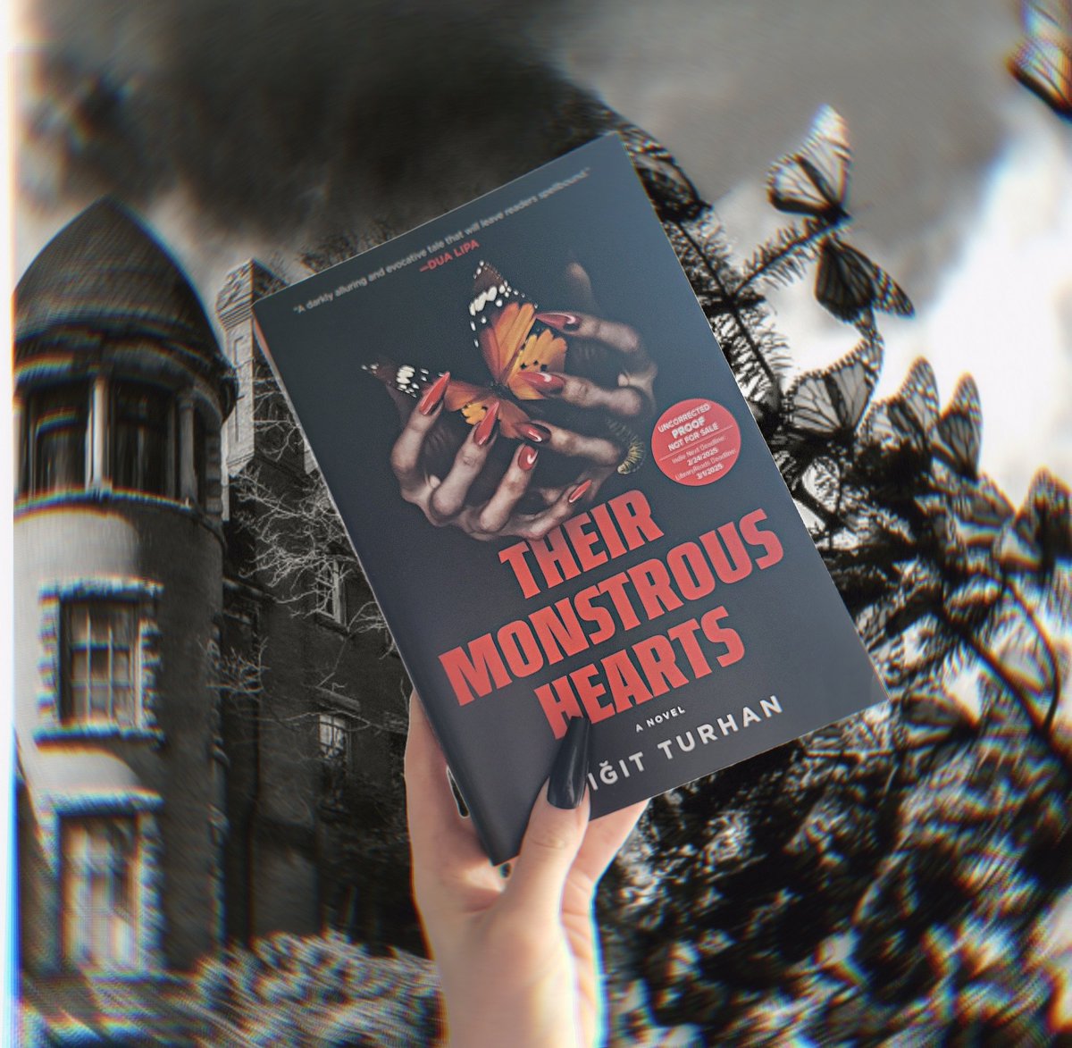 thevampireslibrary tweet media