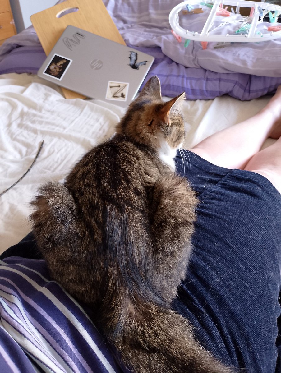 MorralKaren's tweet image. Hoping to join the @Mslexia #WriteIn, but currently held hostage by neighbour's cat. I can neither reach my laptop, nor the #notebook I #wrote the flash fiction idea I wish to type up (&amp;amp;left in the other room).
Wish me luck!🤣🤣😍