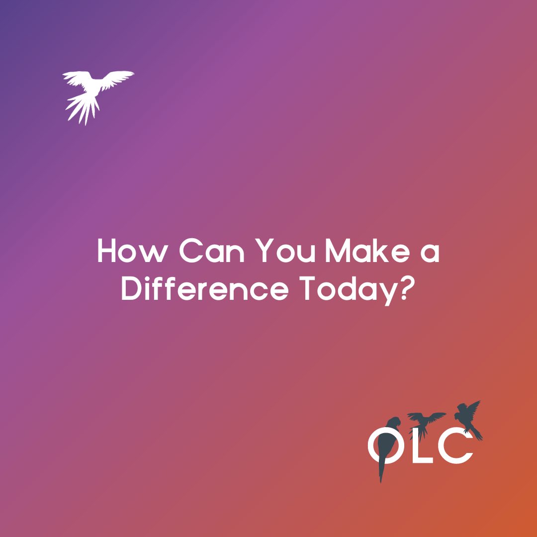 lisaconnell's tweet image. Small actions can lead to big changes. What’s one thing you can do today to make a difference? 

Share your ideas, and let’s create positive change together!

#MakeADifference #PositiveImpact #SupportACause #InfluentialStars #LisaConnell #Repost4Hope #HelpLisa2HelpOthers