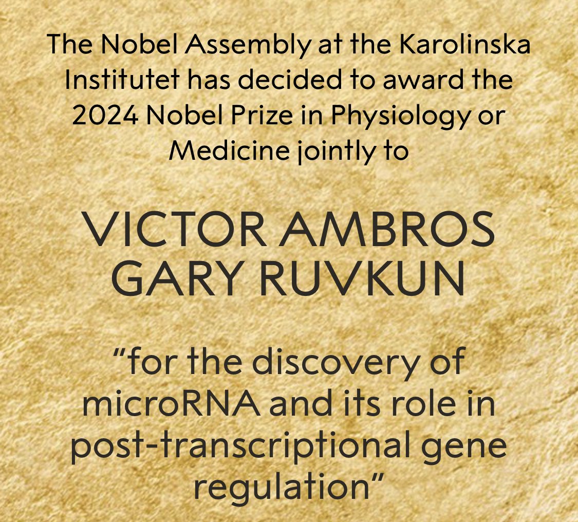 #RNA continues its magic run!!!