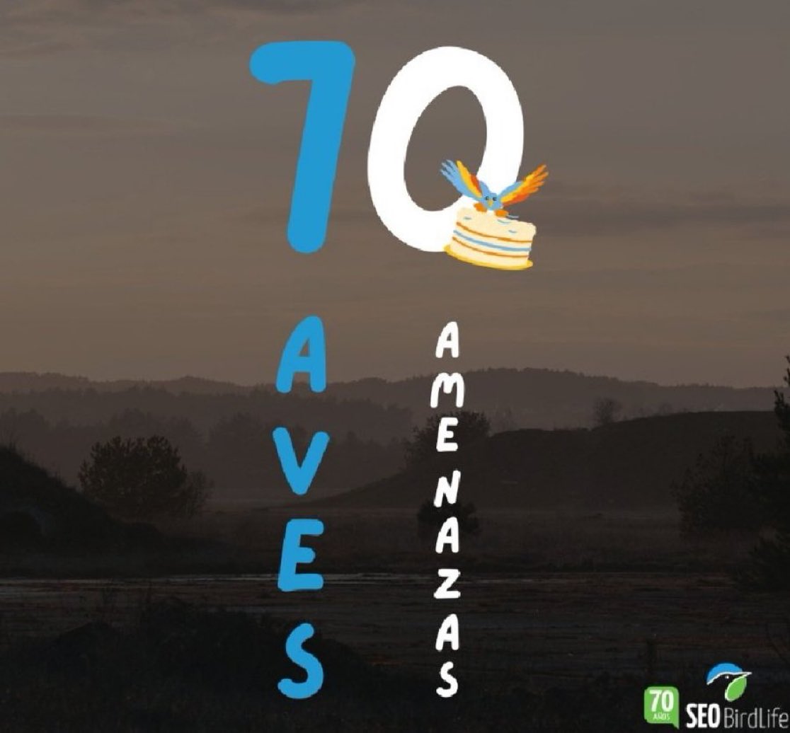 70 años no son nada! Seguiremos pensando en aves por muchos años más