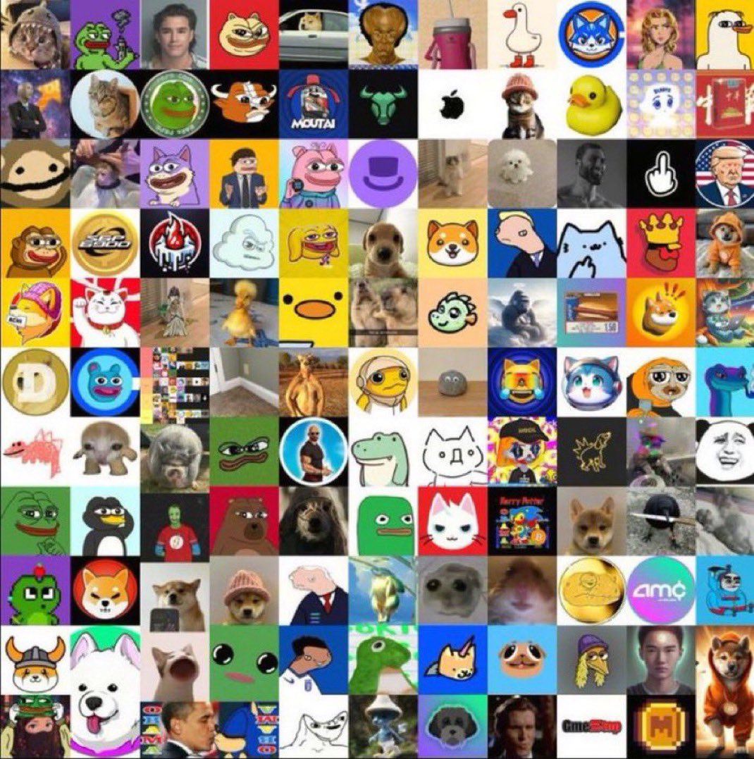 Whale Coverage tweet media