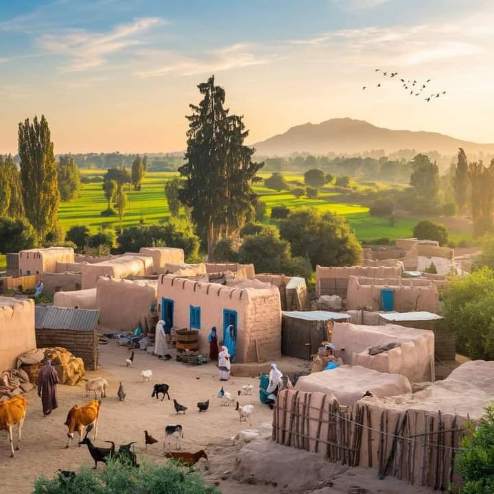 زندگی کے خوبصورت اور یادگار دن 🥹🥰😚

#Garime #life