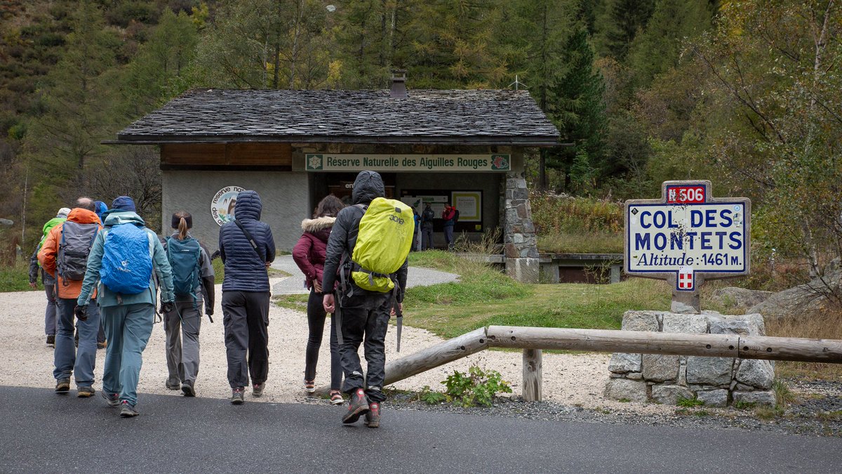 🏔️ [Inside #fds2024] Hier, nous étions en altitude, au Col des Montets (Vallorcine) ! Au programme : une ballade créative et scientifique à la rencontre des arbres de montagne. 

Retour en photos sur cette journée haute-savoyade de la <a href="/FeteScience/">Fête de la science</a> en <a href="/auvergnerhalpes/">Auvergne-Rhône-Alpes</a>  #FDSAURA