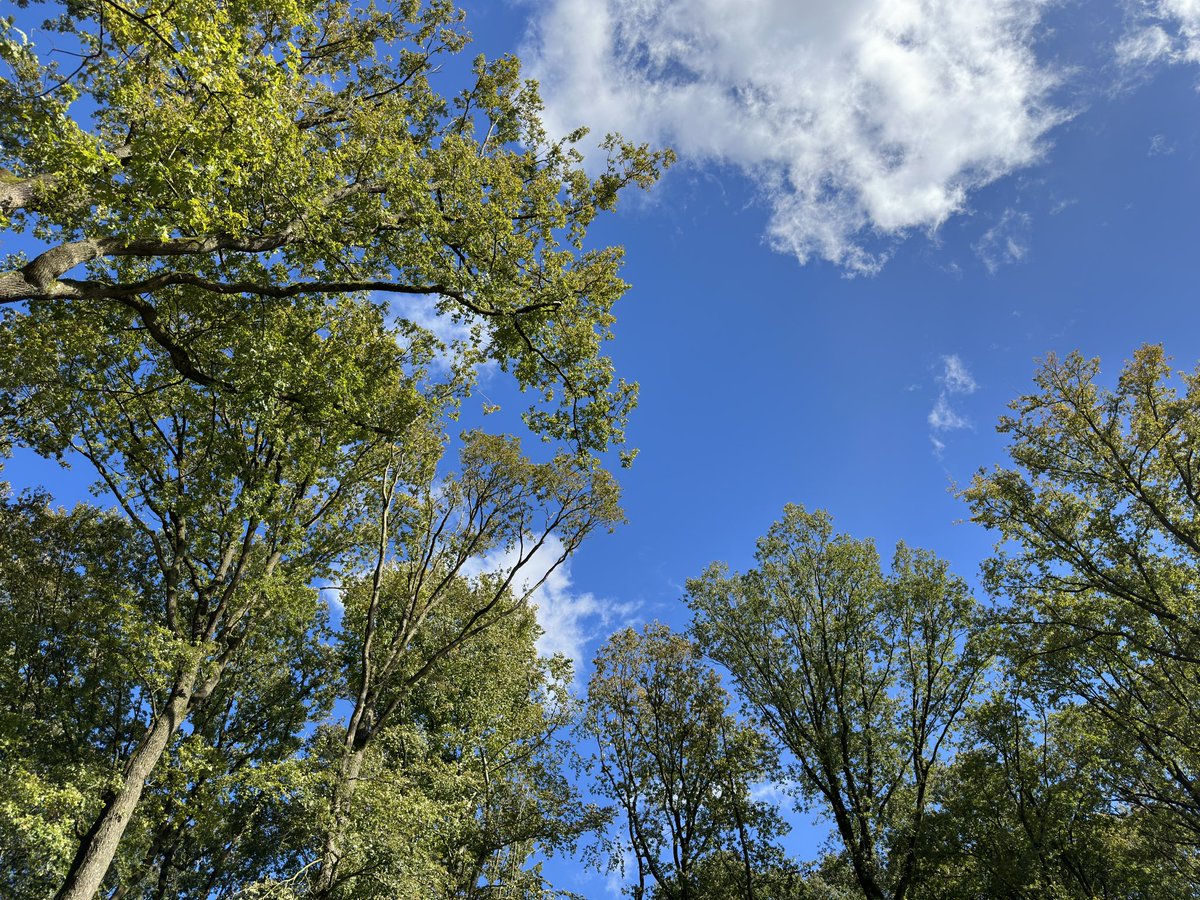 Benjamin Behr tweet media