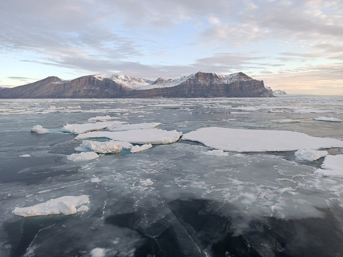 Eva Ortega-Retuerta tweet media