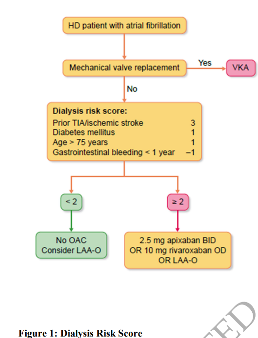 CKJsocial's tweet photo. 10 tips to manage oral anticoagulation in hemodialysis patients with atrial fibrillation

https://t.co/aqhWx0ELYf https://t.co/1UmDJz9tTF