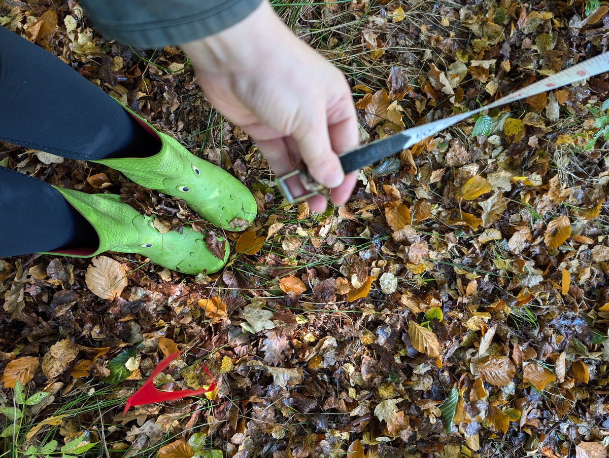 ruthwrightINNS's tweet photo. Beautiful sunshine, but wet under foot for today's biogeography practical so the undergrad students get to witness my snazzy wellies 🐊 I love getting outside to teach in @StirBES and the speckled wood butterflies were loving the weather, too! ☀️ https://t.co/o4sm9cSbLB