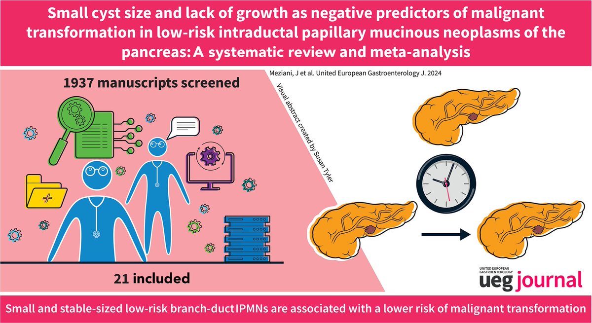 Giovanni Marchegiani tweet media