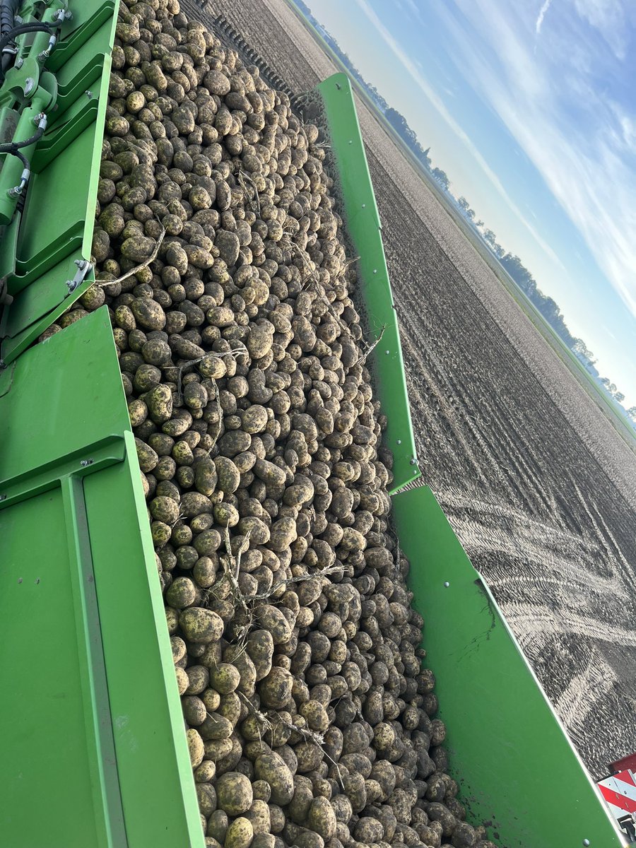 Arjan Beuling tweet media