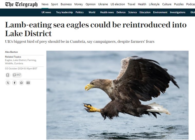 RaptorPersUK's tweet photo. Translocation of White-tailed eagles to Cumbria - public consultation opens &amp; ill-informed hysteria begins.

Farmer &amp; Reform Party spokesperson Mark Robinson @ThirskReformUK thinks these eagles will be 'snatching babies'. Quick, alert the hospitals!

https://t.co/A9lNloVzmF https://t.co/2j2gIB3wDX
