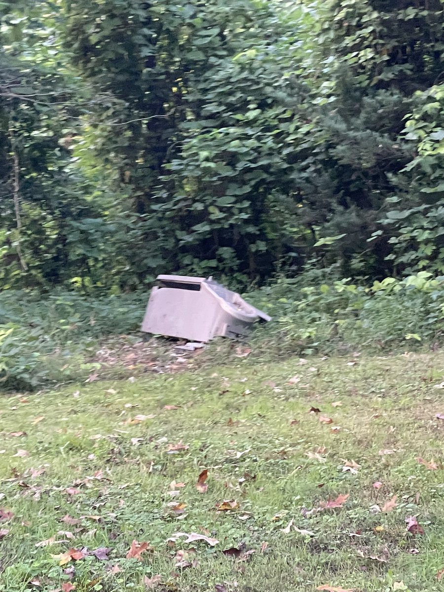 Kimberly Martin tweet media