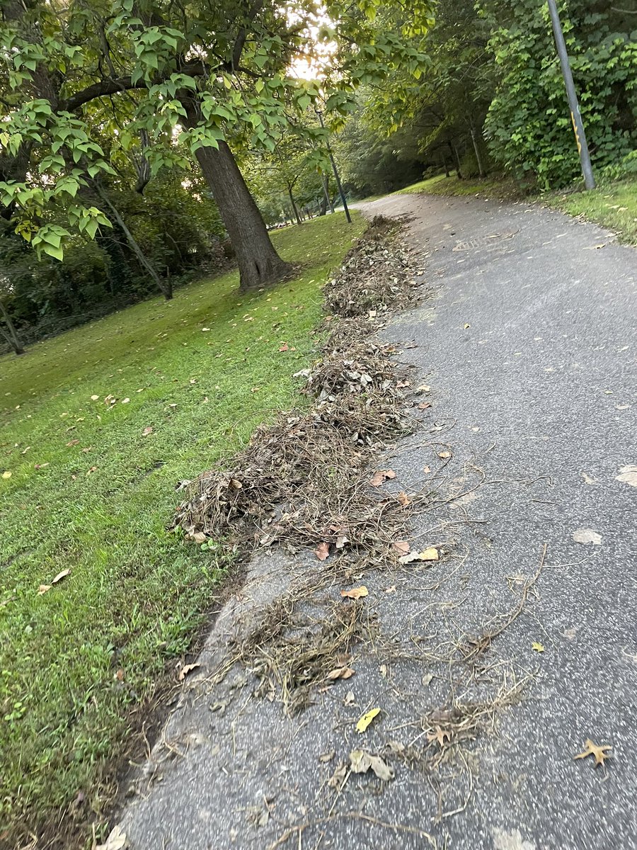 Kimberly Martin tweet media