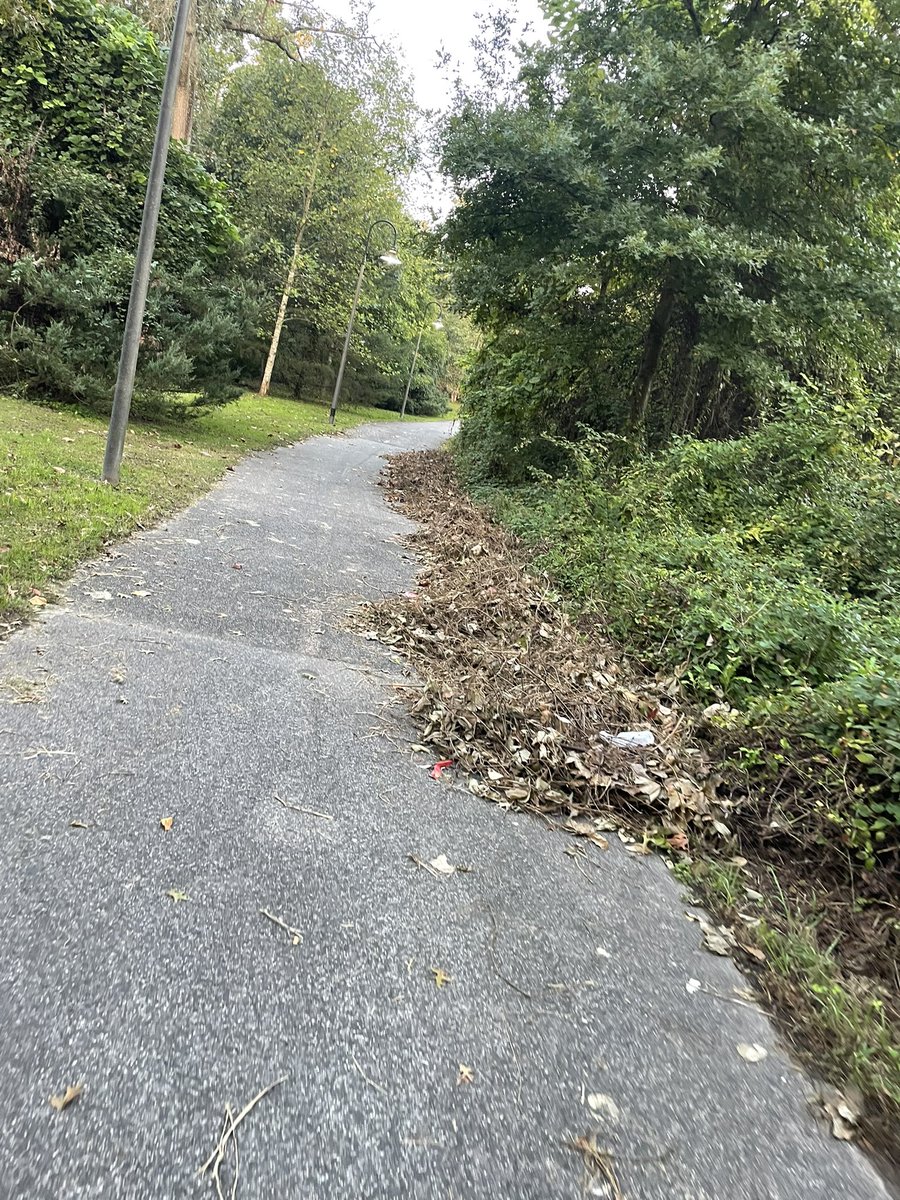 Kimberly Martin tweet media