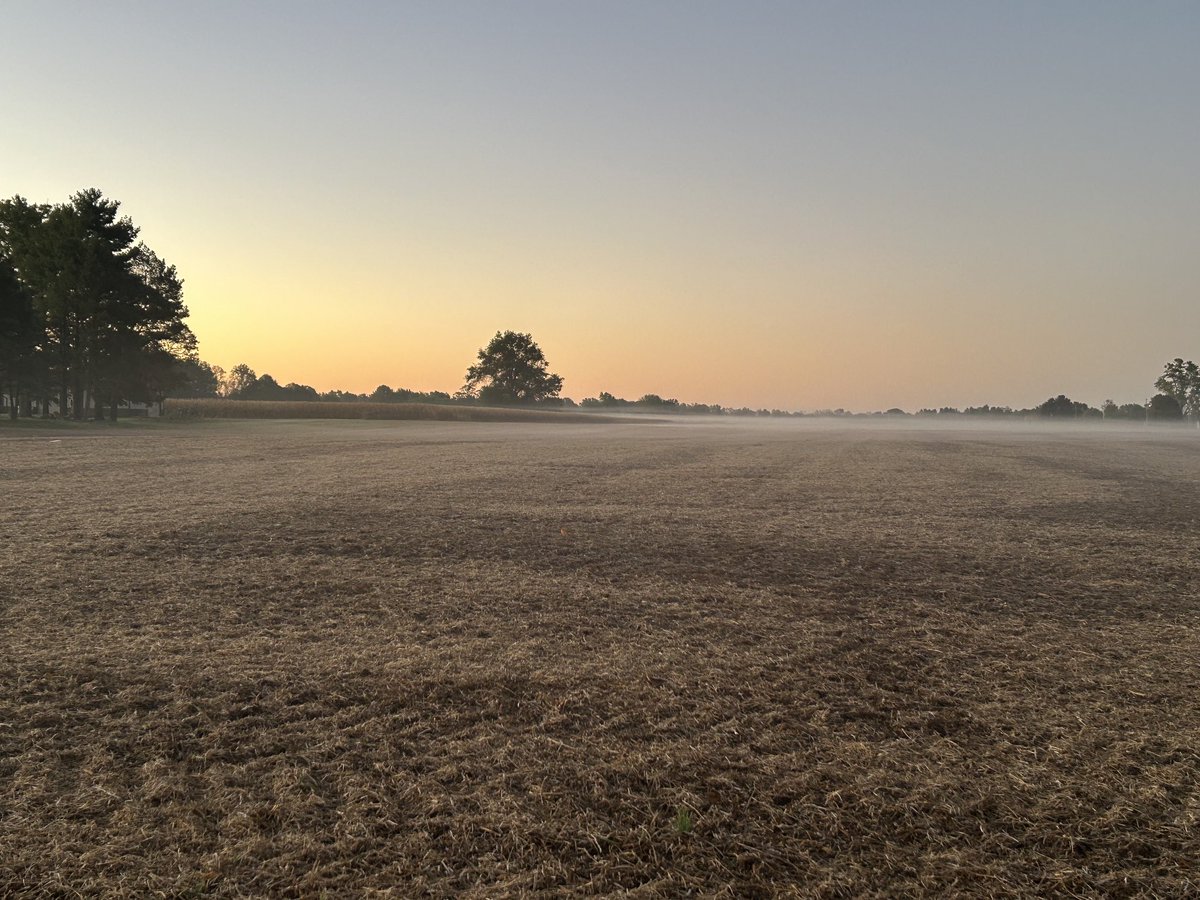 It’s a gorgeous day to check your voter registration and/or get registered to vote. 

Today is the deadline.  

Let’s go!