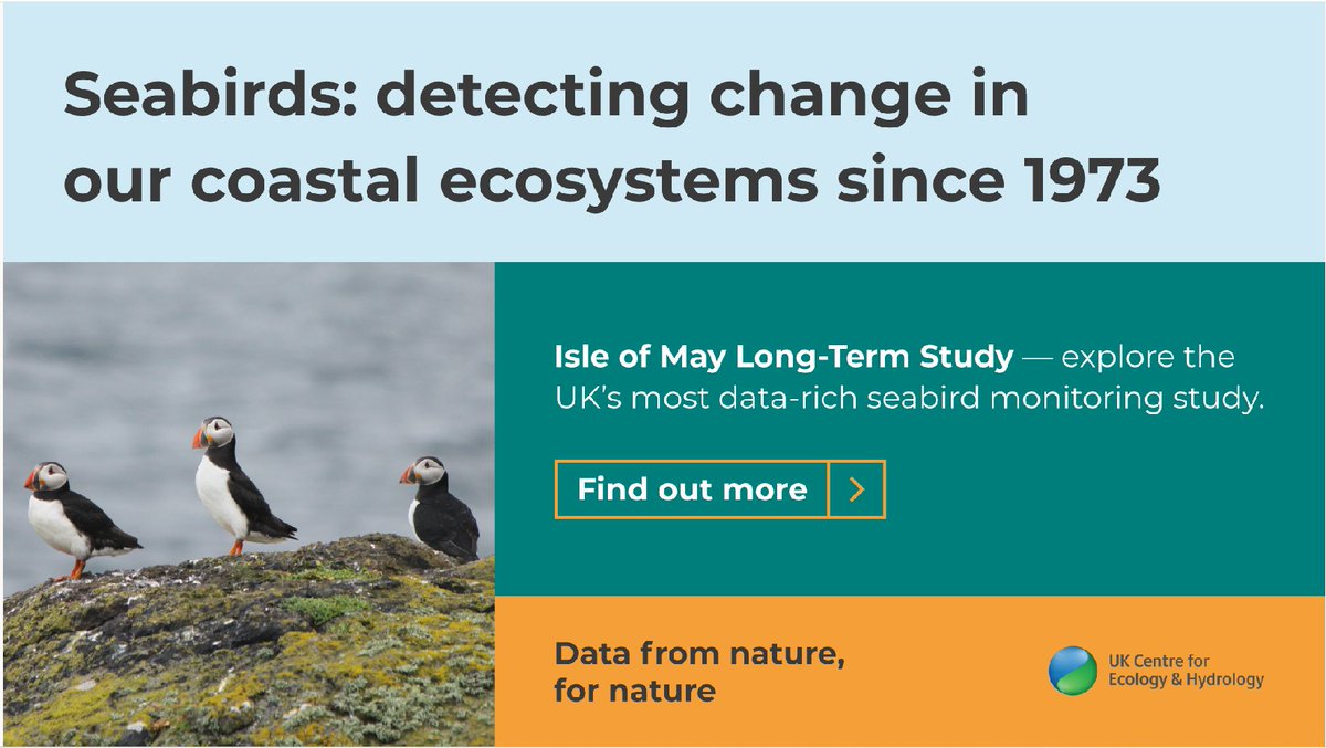 UK Centre for Ecology & Hydrology (@uk_ceh) on Twitter photo <a href="/UK_NRFA/">UK National River Flow Archive at UKCEH</a> Understanding the UK environment: For more than 50 years we have been monitoring the globally important seabird populations on the Isle of May, including colonies of shags, kittiwakes and puffins.
catalogue.ceh.ac.uk/documents/8abc… 5/ <a href="/UK_NRFA/">UK National River Flow Archive at UKCEH</a> Understanding the UK environment: For more than 50 years we have been monitoring the globally important seabird populations on the Isle of May, including colonies of shags, kittiwakes and puffins.
catalogue.ceh.ac.uk/documents/8abc… 5/