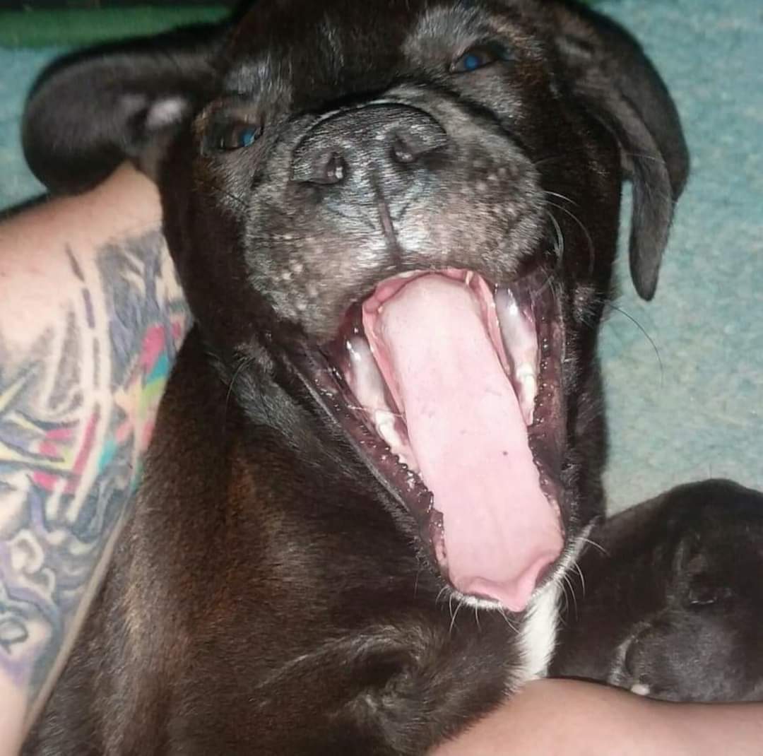 Dianna Woodbury tweet media