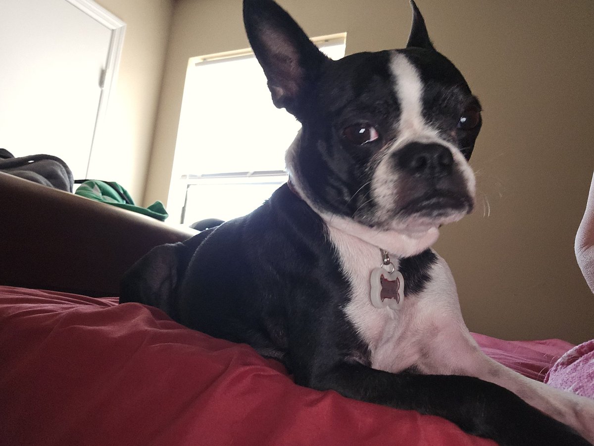 Happy 9th birthday, Annie Rose!!! I am so happy to have you in the family!!!