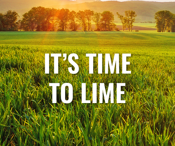 SouthernStates's tweet image. Prepare NOW for the spring growing season! Southern States offers a variety of options for your fall lime applications. - bit.ly/4eNYpad