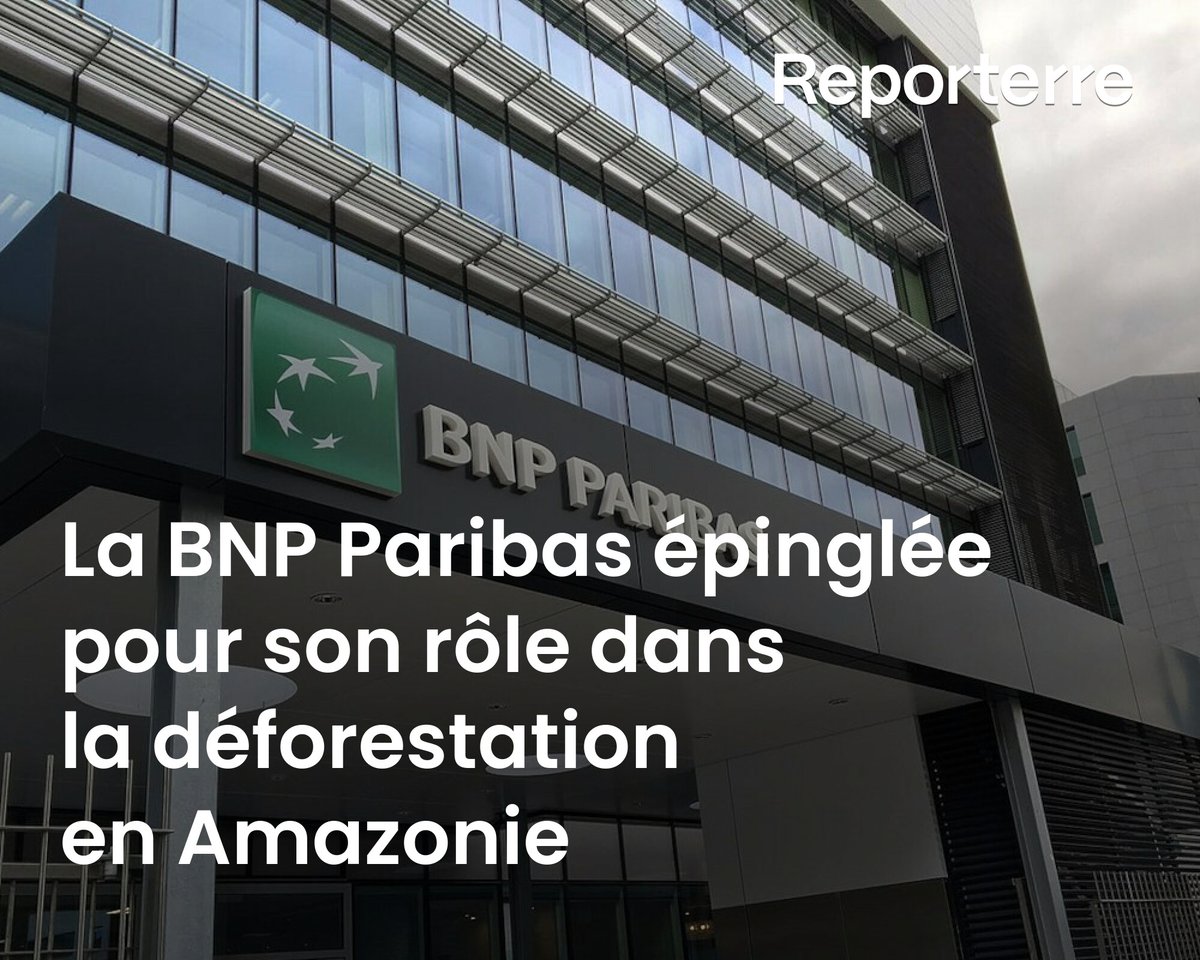 Reporterre's tweet photo. Deux chercheurs britanniques ont tracé la provenance de plus de 500 milliards de dollars ayant financé les multinationales responsables de la déforestation en Amazonie brésilienne et leurs résultats accablent une nouvelle fois la BNP Paribas.

Lire l'article ➡️ https://t.co/UlvPs4F1iK