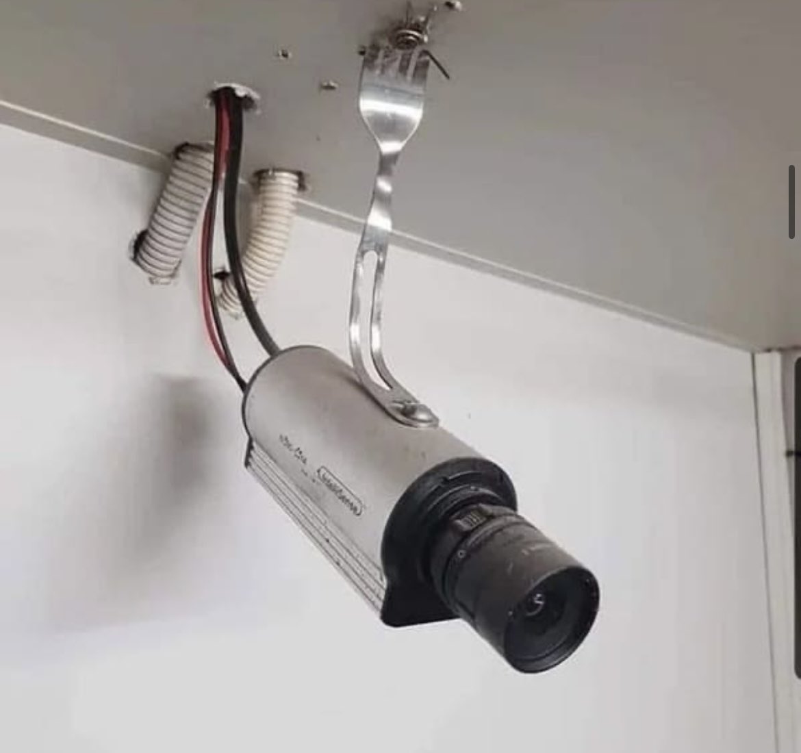 Jennifer Johnson tweet media