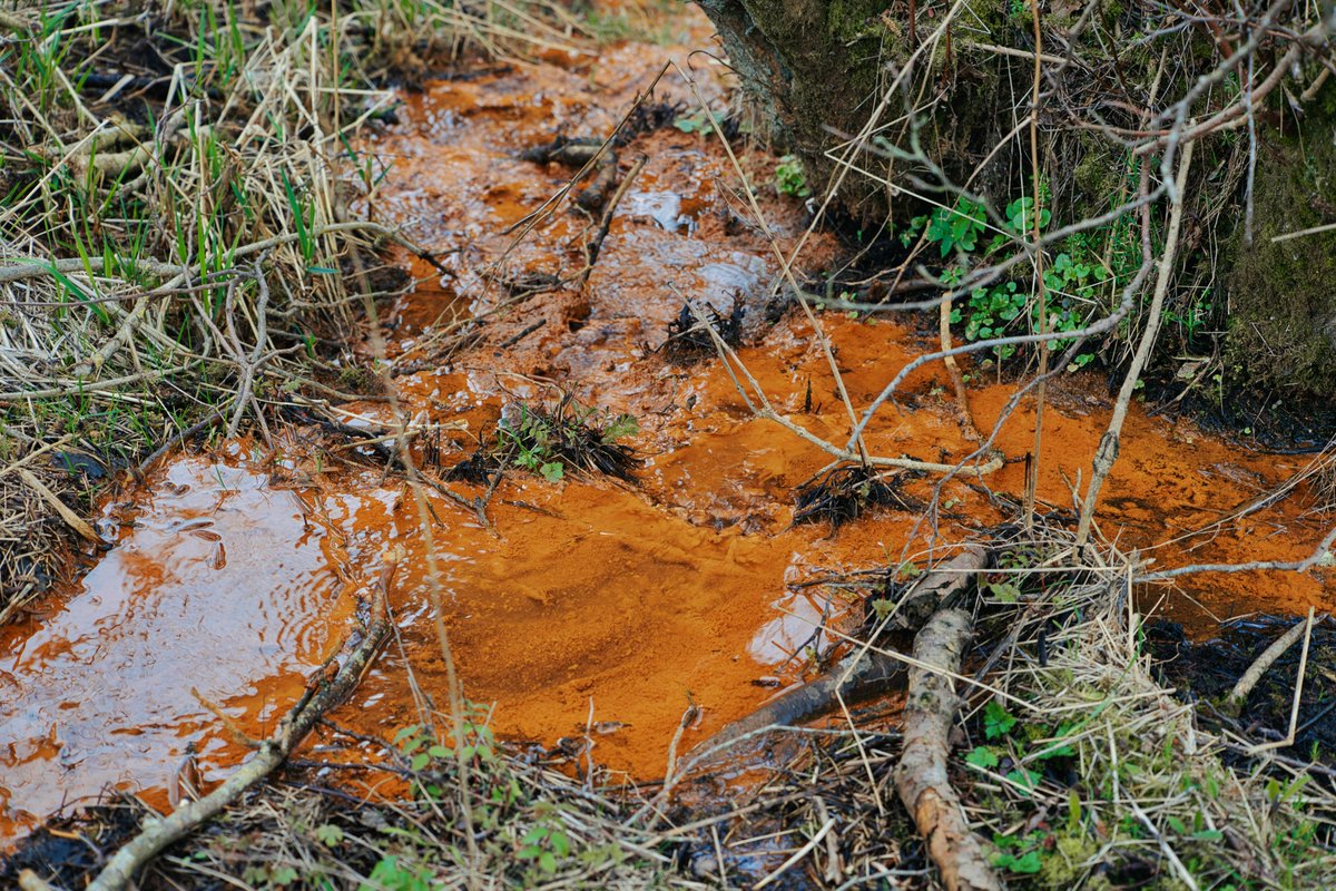 Don't miss our next webinar led by Matt Hill
<a href="/YorkshireWater/">Yorkshire Water 💧</a> about <a href="/UK_WIR/">UKWIR</a> Chemical Investigations Programme at 11am on Tues 15 Oct. 

It will investigate how chemical substances in domestic products end up in sewage &amp; rivers.  For news &amp; webinar invites bit.ly/47MSL5x