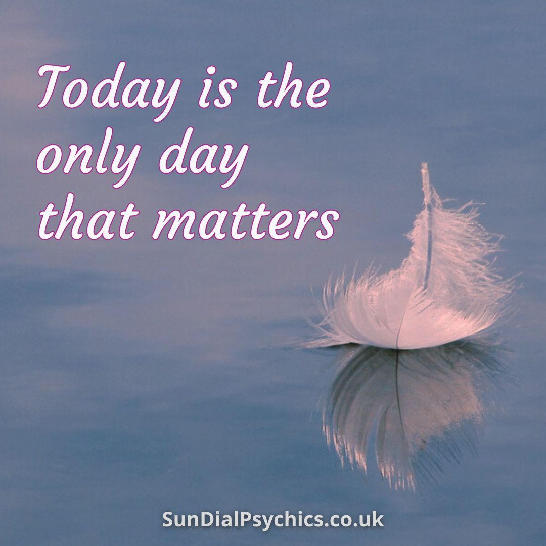 SunDialPsychics's tweet image. 🪶Feathers appear when angels are near. Speak to our gifted readers to hear from your loved ones today 👉#SunDialPsychics 

#angelfeather #MondayMotivation #love #life #spiritual #blessings #luck #loveandlight #innerwisdom #happiness #healing #opportunity #positivity #empath