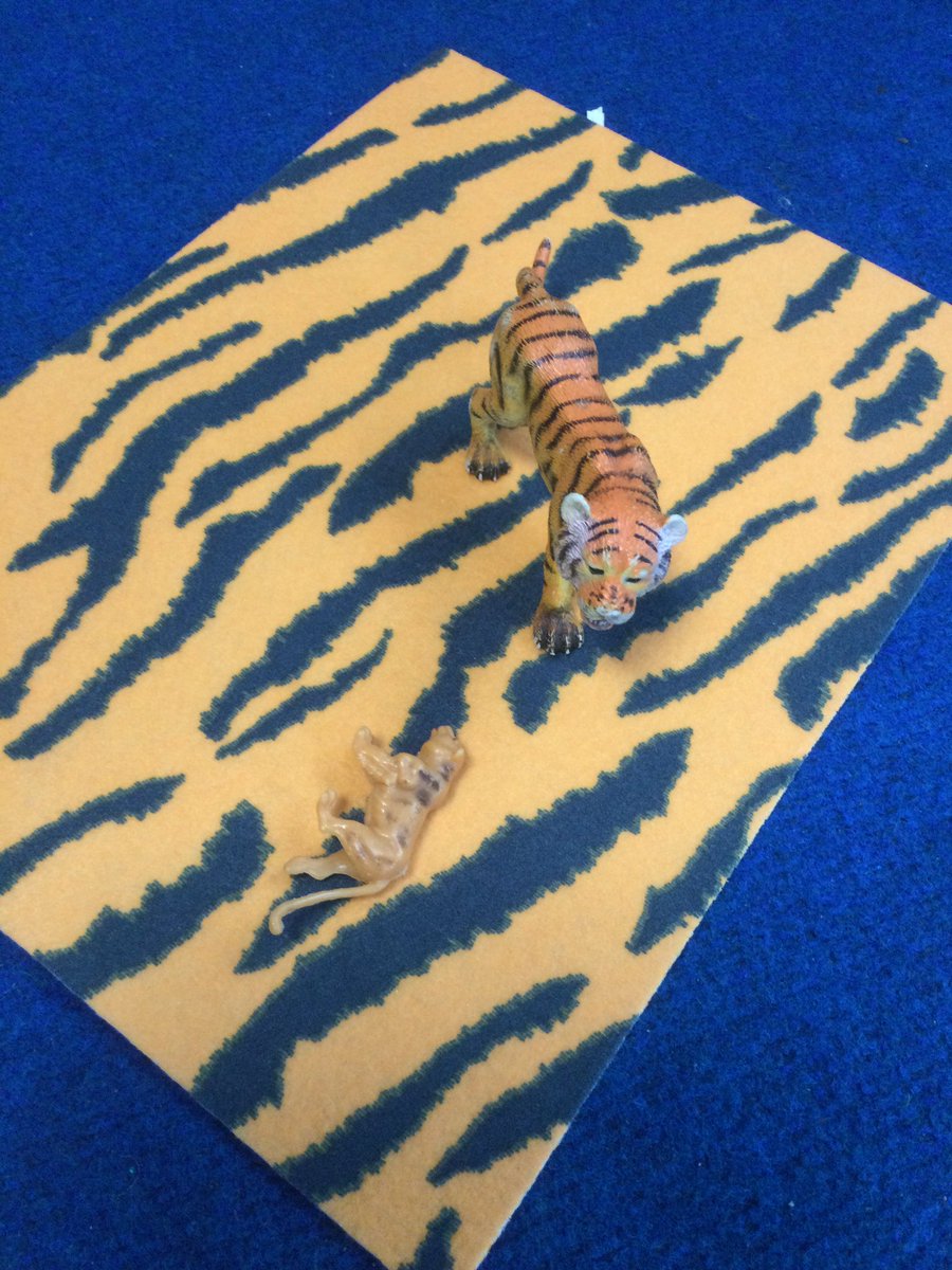 We have explored what a pattern is today in Maths. We identified different patterns around the room and used words like, ‘stripy and spotty’ to describe them.