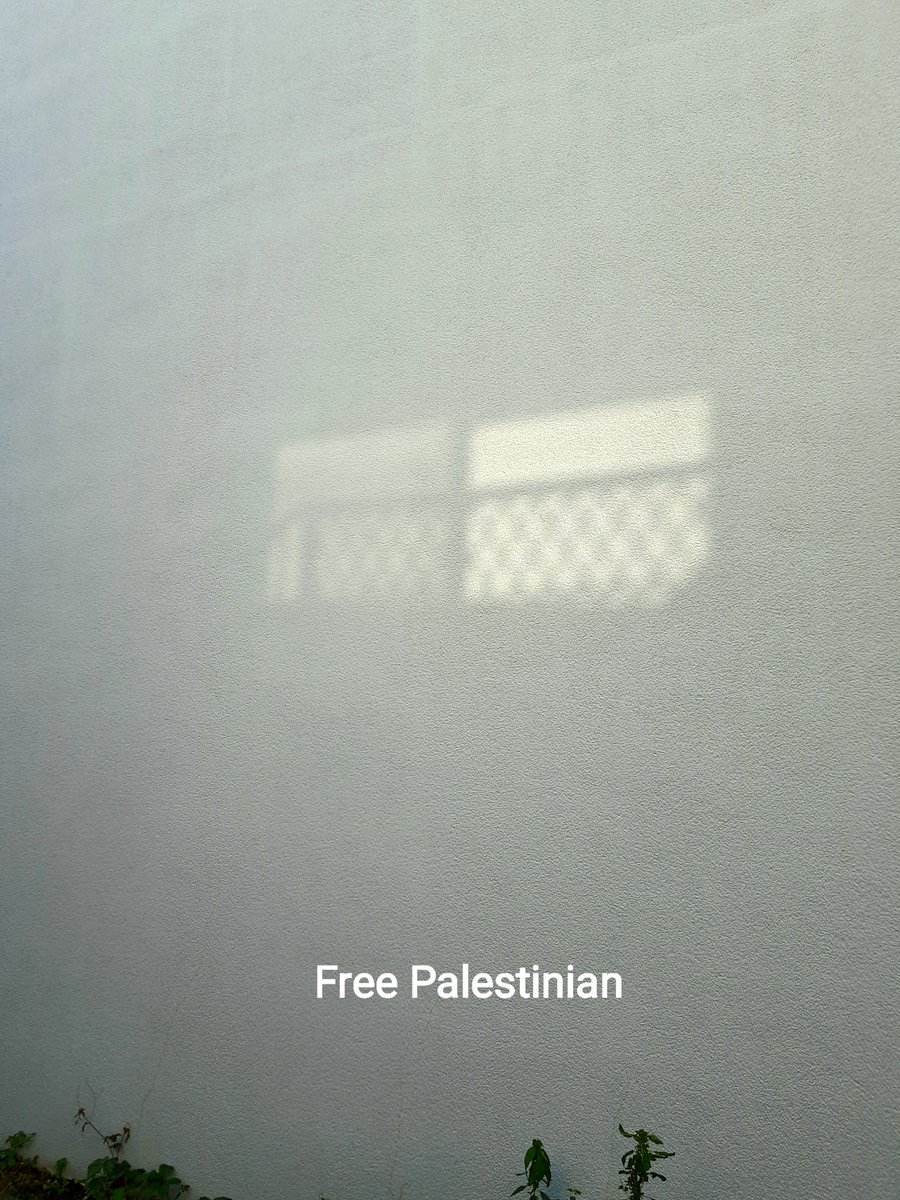 indigorosa33's tweet photo. 朝7:40、駅に向かう道。
白い壁に向かいの窓が反射して現れたクフィーヤ🕊️
Free Palestinian
#CeasireFireNow
#FreePalestine https://t.co/5QOk1pnlqP