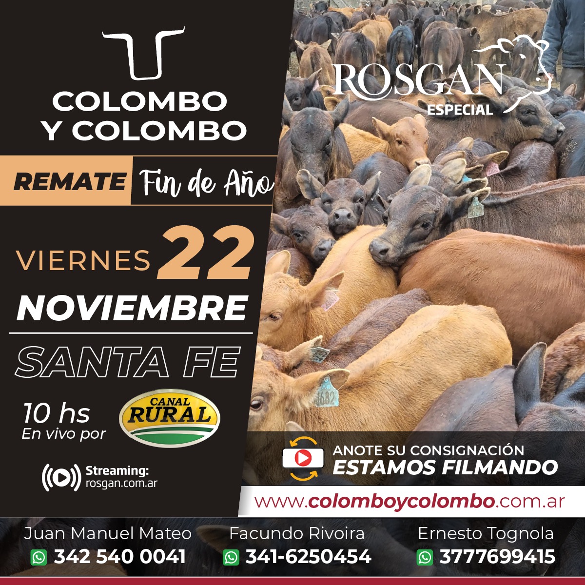 cyc_oficial's tweet photo. Te esperamos en el próximo remate de Fin de Año en Santa Fe - Especial #Rosgan
🔨 #HayRemate
📆 Viernes 22 de noviembre, 10 hs
📍 Santa Fe
🎥 Transmisión en vivo por @elrural | @rosgan_bcr

@Luciano_CyC https://t.co/p8JrclGAZI