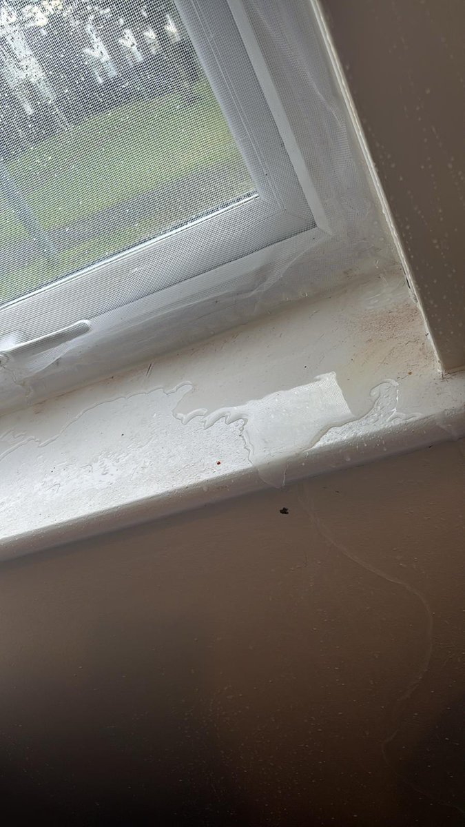 monsteemoo's tweet photo. @PinnacleSF please help, this is my friends quater which she's been told is still okay to live in by Vivo. She has bad asthma, 3 kids - one being a few months old. How is this okay for them to live in? @MilitaryBanter https://t.co/m0pzsv68yI