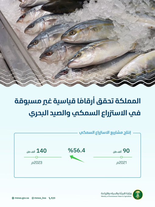 الصورة